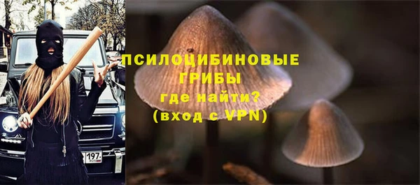 дживик Балахна