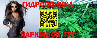 стафф Северобайкальск