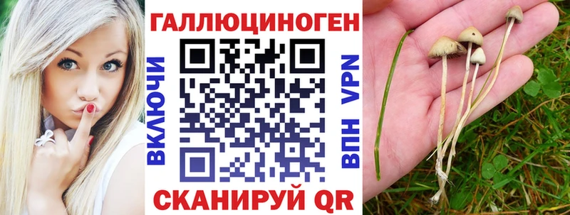 наркошоп  Черняховск  Галлюциногенные грибы мицелий 