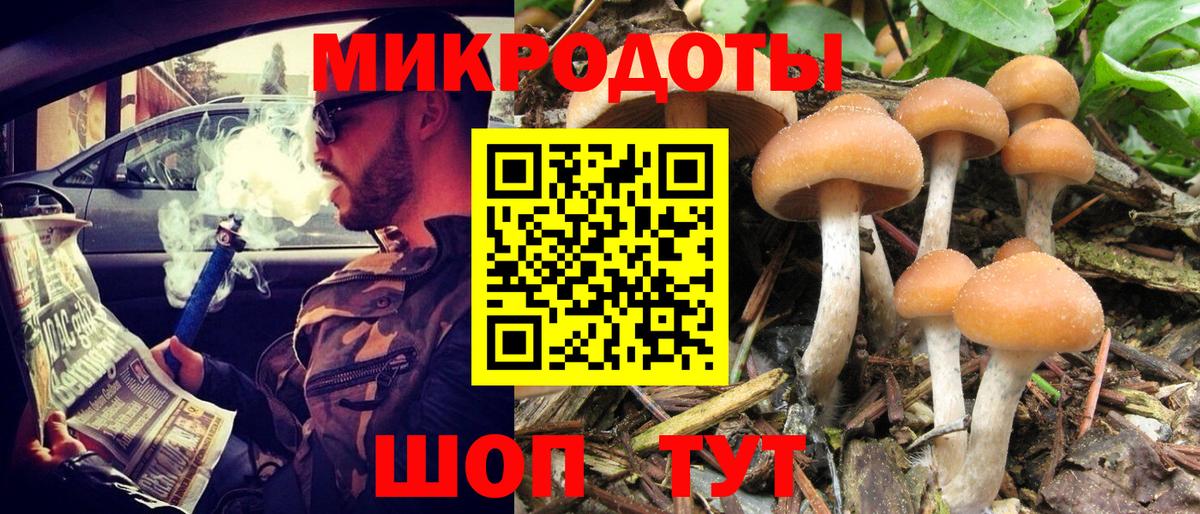 Галлюциногенные грибы MAGIC MUSHROOMS Черняховск