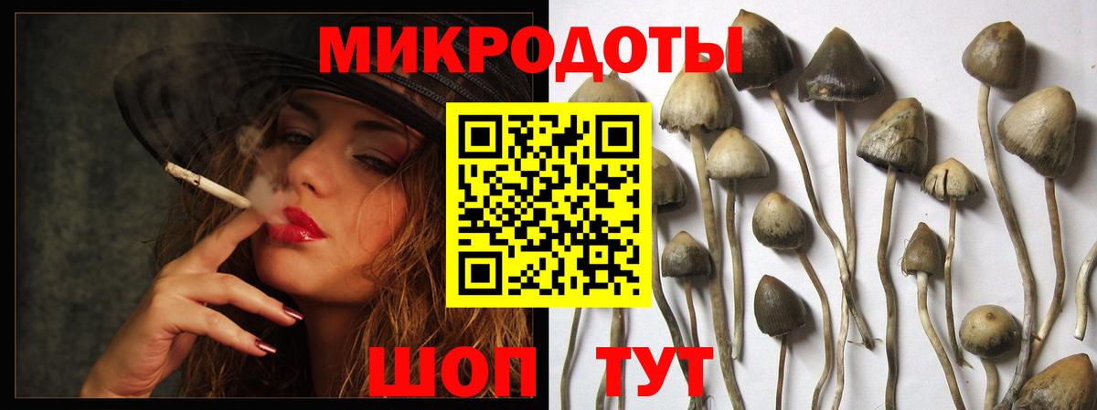 Черняховск  Галлюциногенные грибы прущие грибы  где купить наркоту  Вход с VPN 