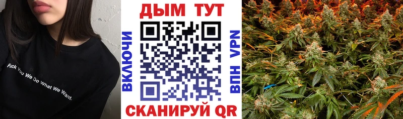 Канабис планчик  наркота  Черняховск 